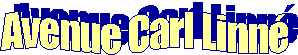 Avenue Carl Linn