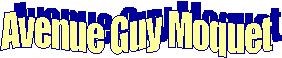 Avenue Guy Moquet