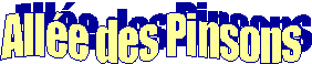 Alle des Pinsons